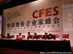 奇致品牌全程策劃，2011中國(guó)地板企業(yè)家峰會(huì)盛典圓滿落幕